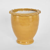 Petal Pot Mustard