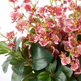 Small Dancing Orchid in Glass Pot - Pink