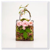 Gift Card by Golly Gosh