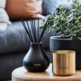 Mr Voss Candle - Signor Cassanova