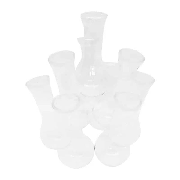 10 piece Test Tube Vase