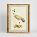 Heron Study B Wall Art