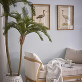 Heron Study A Wall Art