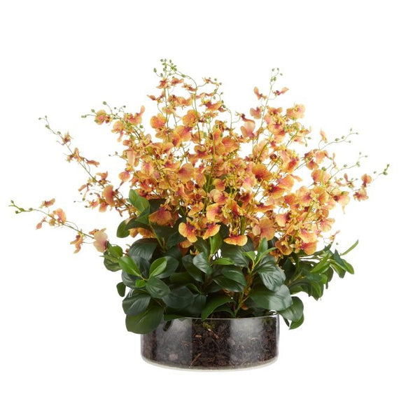 Large Dancing Orchid in Glass Pot - Orange