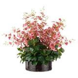 Large Dancing Orchid in Glass Pot - Pink