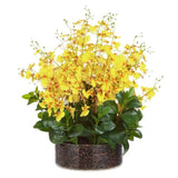 Large Dancing Orchid in Glass Pot - Yellow