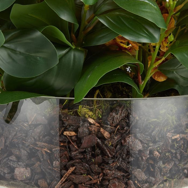 Large Dancing Orchid in Glass Pot - Yellow