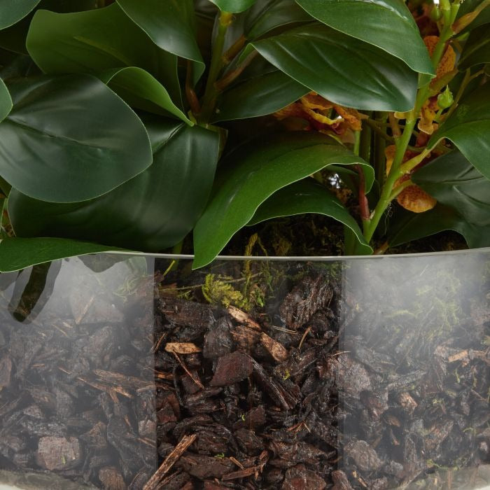 Large Dancing Orchid in Glass Pot - Yellow