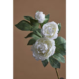 Peony Stem - White