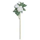 Peony Stem - White