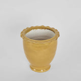 Petal Pot Mustard