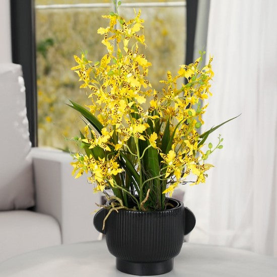Potted Dancing Orchid