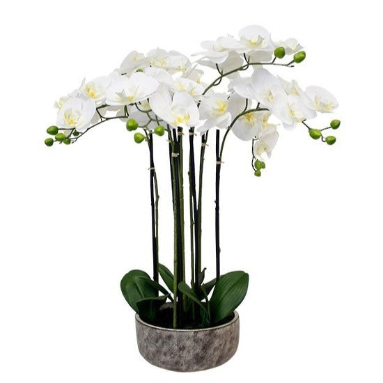 Potted Orchid in Rustic Pot 65cm