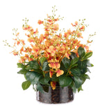 Small Dancing Orchid in Glass Pot - Orange