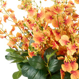 Small Dancing Orchid in Glass Pot - Orange