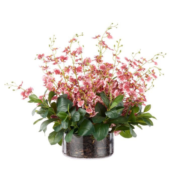 Small Dancing Orchid in Glass Pot - Pink