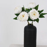 White Peony